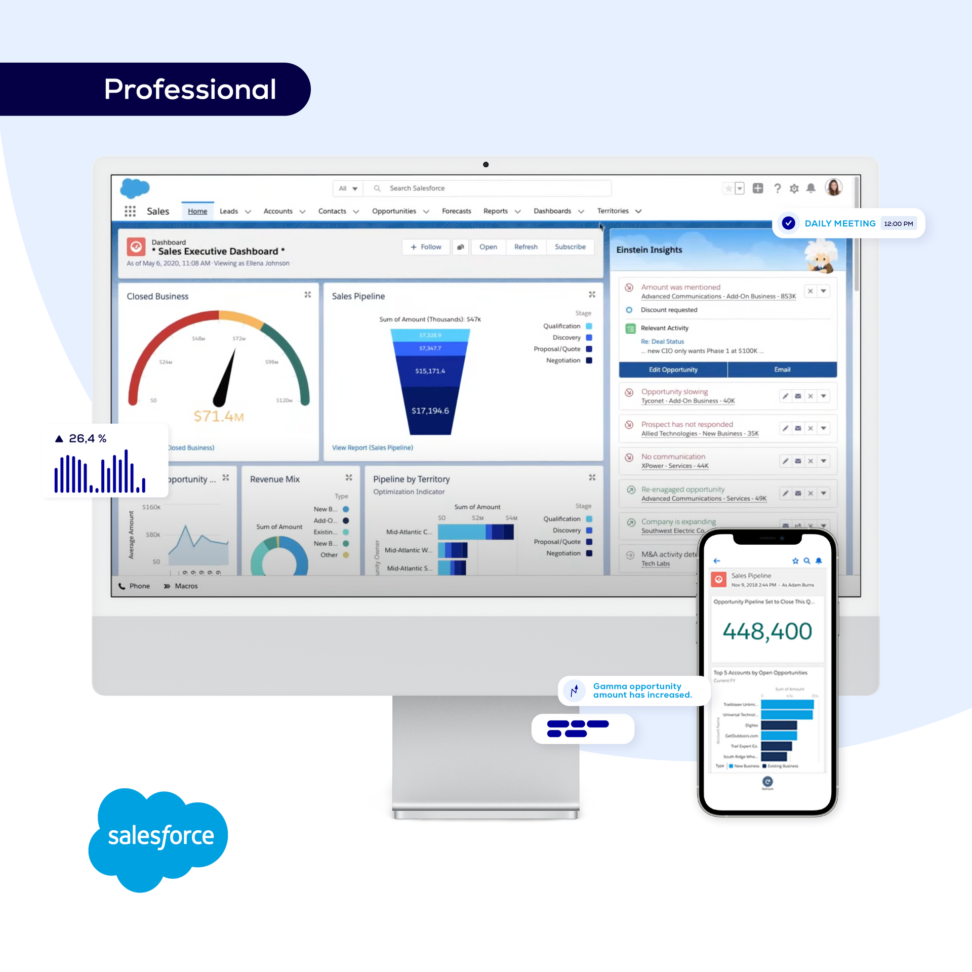 Salesforce Sales Cloud Professional